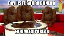 Maymuna Nasıl Ortak Atadan Geldiğimizi Açıklaya Biliriz?