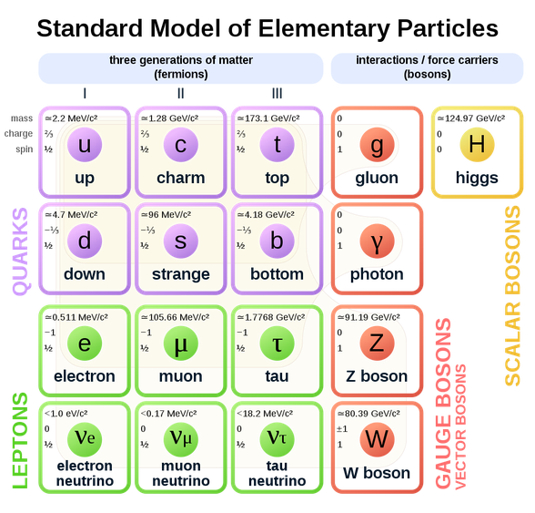 Standart model - Temel parçacıklar