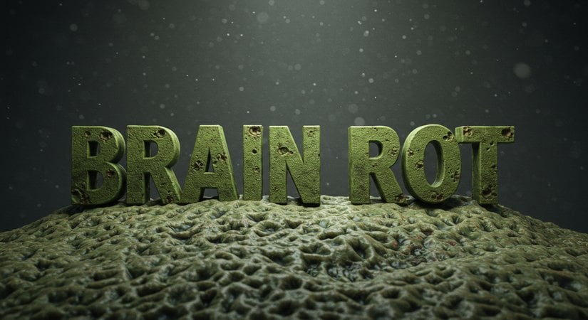 "Brain rot", dijital medyanın aşırı ve bilinçsiz kullanımının zihin üzerindeki olumsuz etkilerine göndermede bulunan bir popüler kültür kavramı