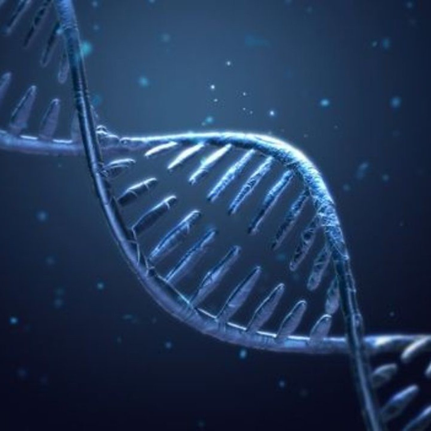 Evrim Ağacı ile Bilime Dair Her Şey!