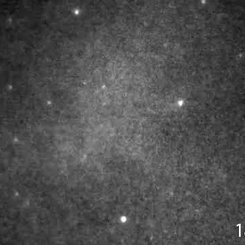 Yengeç Atarcasının Parıltıları