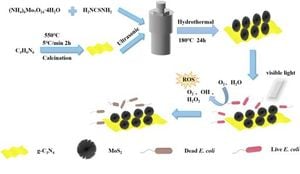 New Photocatalyst Promises Fast Water Disinfection Using Visible Light