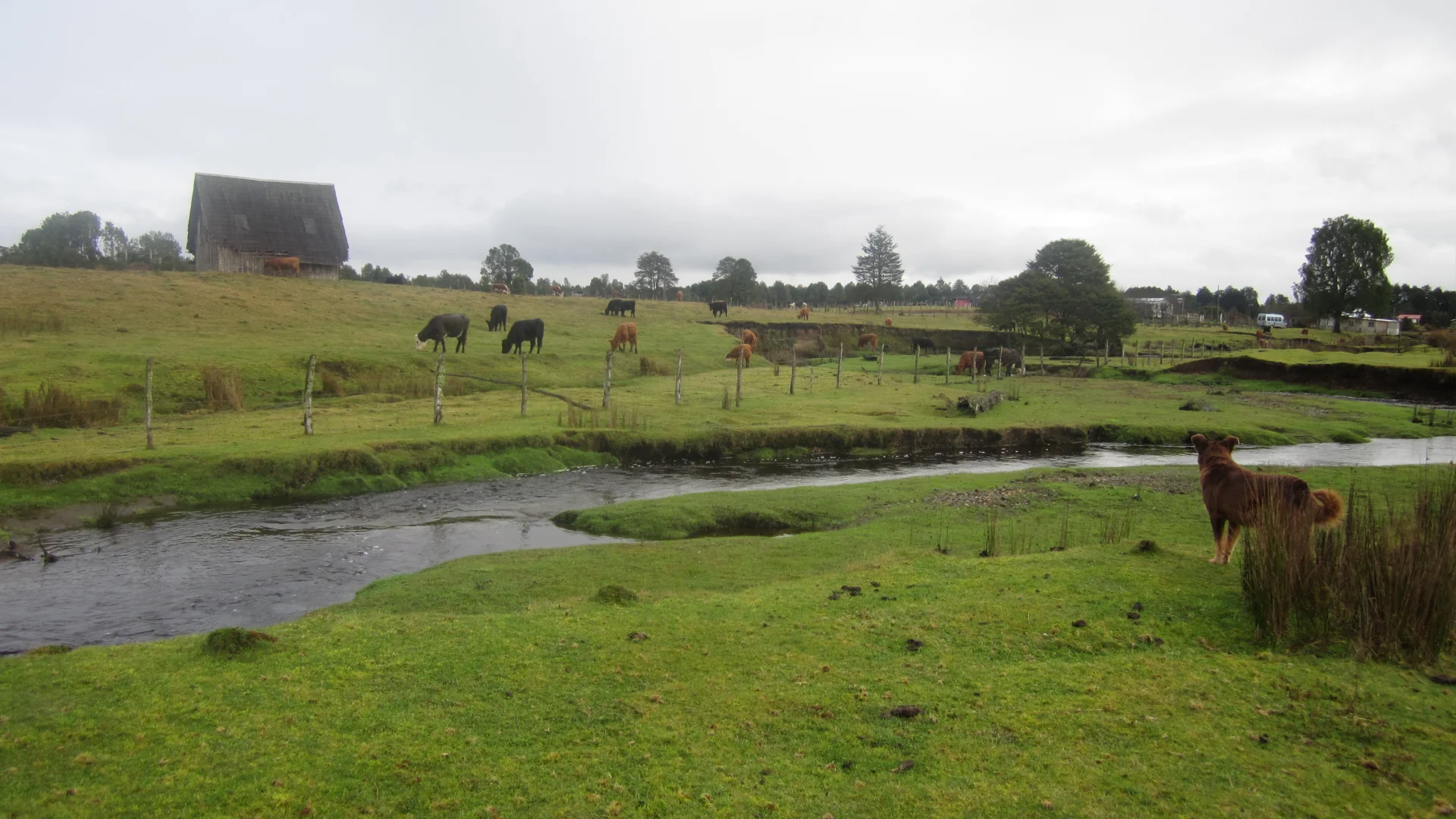 Amerika Kıtasına İlk Yerleşim Ne Zaman Oldu? Monte Verde Arkeolojik Alanının Yaşı Tartışma Yaratıyor