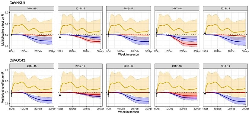 Grafikte, COVID-19'a sebep olan SARS-CoV-2 virüsünün kuzeni olan HCoV-HKU1 (üst panel) ve HCoV-OC43 (alt panel) virüslerinin efektif üreme sayılarına etki eden faktörler gösteriliyor: Hastalığın görülme oranı (üst panelde kırmızı, alt panelde mavi) ve mevsimsel değişimler (altın). Siyah nokta, mevsim başlangıcında 2014-2015 HCoV-HKU1 sezonuna kıyasla hastalığın tahmini üreme katsayısını gösteriyor. Bu grafiklerden, diğer koronavirüslerin mevsimlik bir doğası olduğu görülüyor.