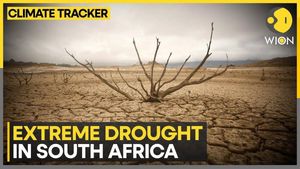 Southern Africa Faces A Devastated Drought Crisis