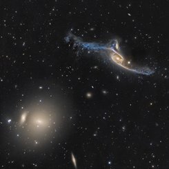 Pavo'daki Devasa Galaksiler