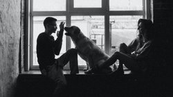 Hayvanlar Zamanın Neresinde?