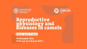 Distinct Metabolic Changes Mark Camel Reproductive Seasons