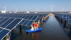 China Takes Global Lead In Renewable Energy And Carbon Control