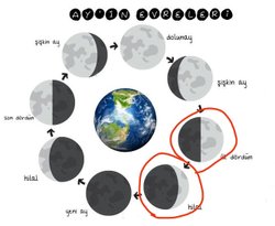 Ay neden hilalken bizden görülen aydınlık kısmı  çok yuvarlak bir yapıdayken yarım ay olduğunda neredeyse dümdüz görünüyor?