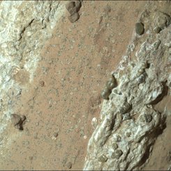 Leopard Spots on Martian Rocks