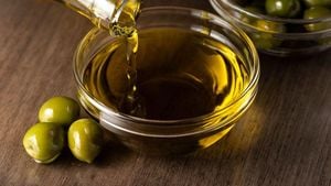 Olive Oil Prices Set To Halve As Harvests Improve