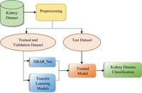 An attention enhanced dilated bottleneck network for kidney disease classification - Scientific Reports