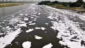 Political Tensions Rise Over Yamuna River Ammonia Levels