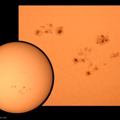 Sunspots and Solar Active Regions