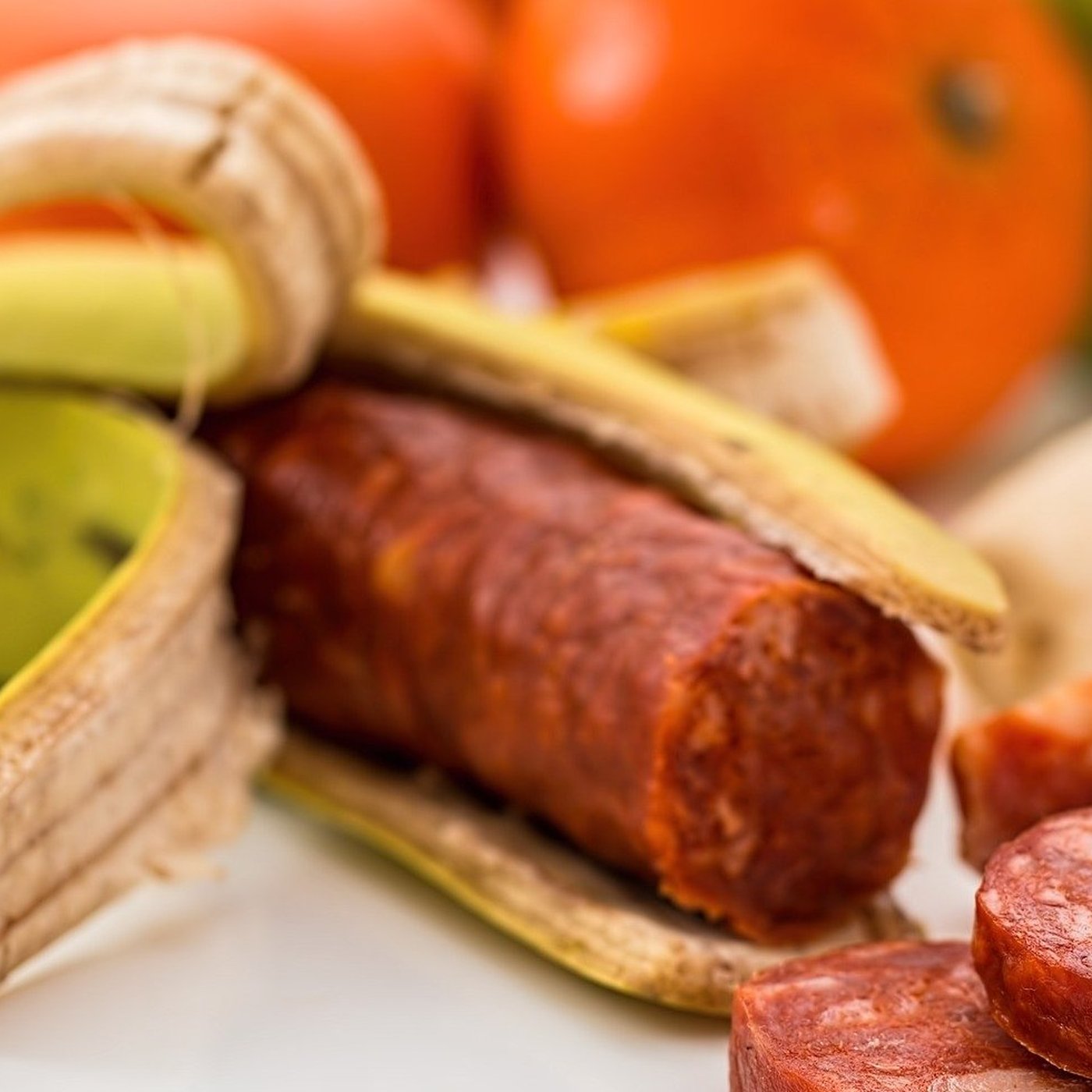 Evrim Ağacı ile Bilime Dair Her Şey!