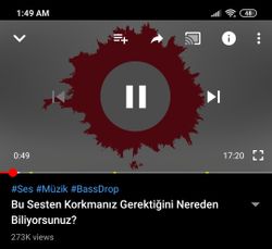 Bu videodaki bu hayalet sesi nedir?