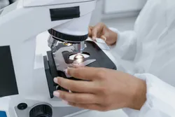 Acaba kurt ve insan dna sı bieleşirse ne olur kurt adam?
