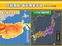 明日23日から「花粉+黄砂」のダブルパンチ　25日は要注意　予防や対策ポイントは(気象予報士 福冨　里香)