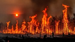 Türkiye ve Orman Yangınları