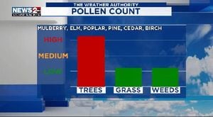 Allergy Season Arrives, Millions Seek Relief