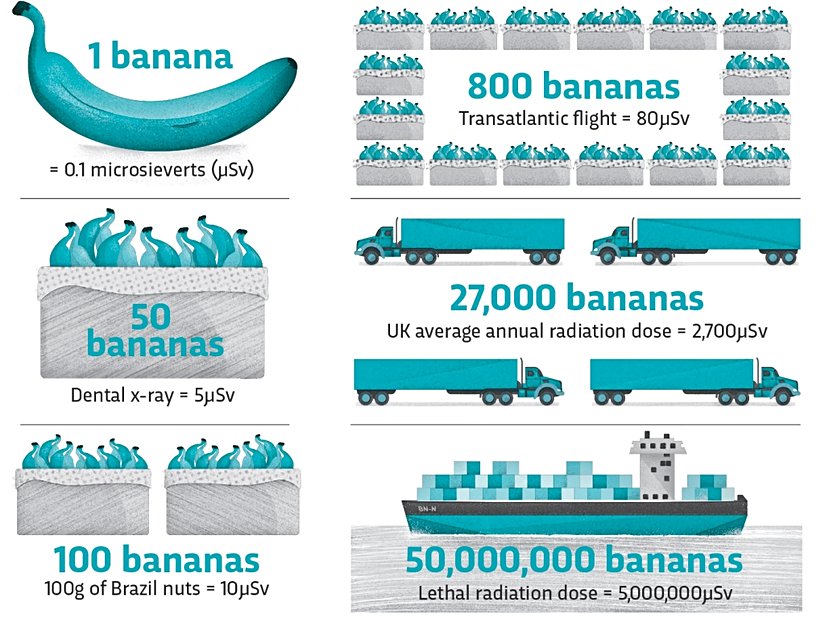 Muz sayısı arttıkça yayılan radyasyon miktarı da artmaktadır.
