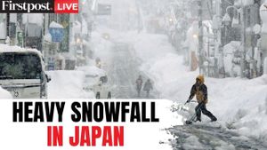 Severe Winter Storm Hits Japan With Heavy Snowfall