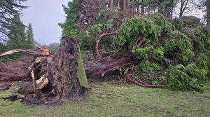 Storm Éowyn Causes Major Disruptions Across Scotland