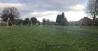 Boy, 12, falls to his death from playground 'apparatus' in popular park