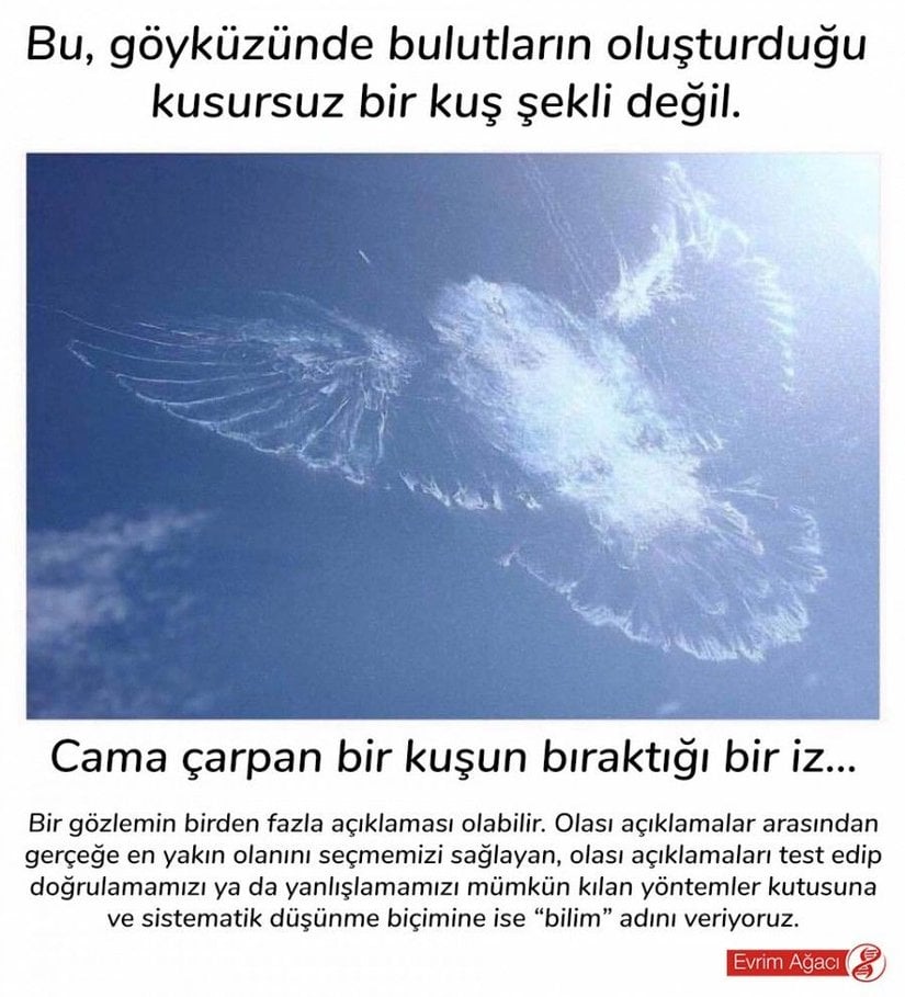 Aslında bu bir bulut değil!