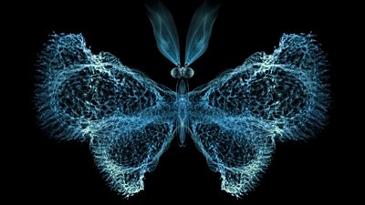 Kaos Teorisi Nedir? Doğadaki Kaostan Söz Ederken Neyi Kastediyoruz?