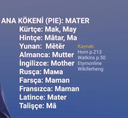 Bu dillerdeki kelimeler neden birbirine benziyor?