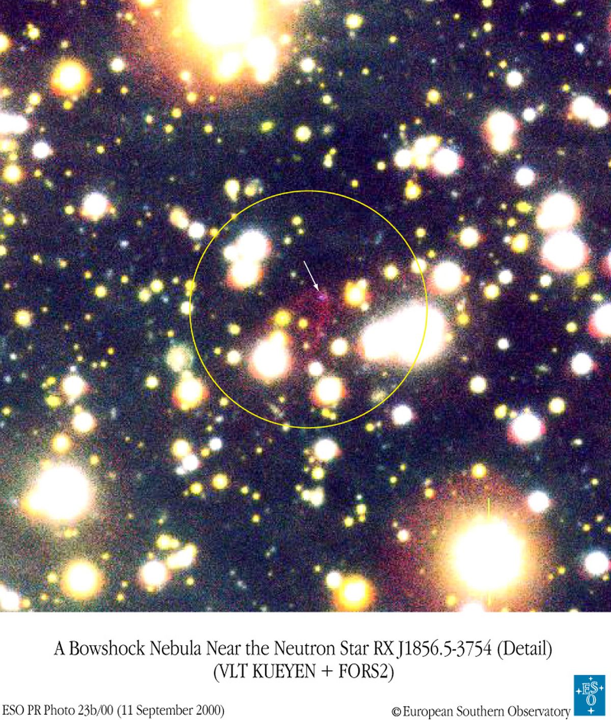 The Nebula And The Neutron Star