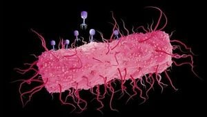 How Random Mutations And DNA Structure Changed Science