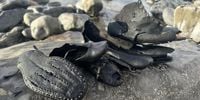 Mystery as dozens of Victorian shoes wash up on British beach