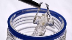 Şeffaflaştırılan fareler, kanser araştırmalarında çığır açabilir