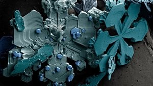 Suya Güzel Sözler Söylenince Güzel Desenler, Kötü Sözler Söylenince Kötü Desenler Oluşur Mu?