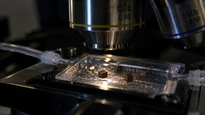 Elektron ve Foton Demetleri Aynı Kimyasal Tepkimeyi Farklı Nanoyapılara Nasıl Yönlendiriyor?