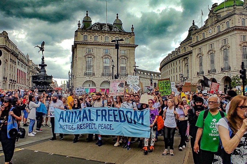 2018 Londra vegan yürüyüşünden bir fotoğraf