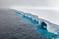 World’s largest iceberg is finally about to disappear 40 years after breaking away from Antarctica