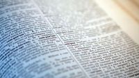 Cambridge Dictionary’s latest additions include ‘skibidi,’ ‘tradwife’ and ‘delulu’ | CNN