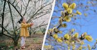 Что сегодня нужно сделать всем верующим: обычаи в праздник 13 апреля 2025