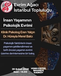 İnsan Yaşamının Psikolojik Evrimi - EA İstanbul Topluluğu