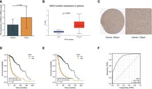 Researchers Identify Key Proteins Linked To Hepatocellular Carcinoma Progression