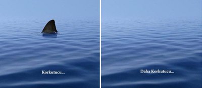 Köpek Balıklarının Katli Daha Korkutucu!