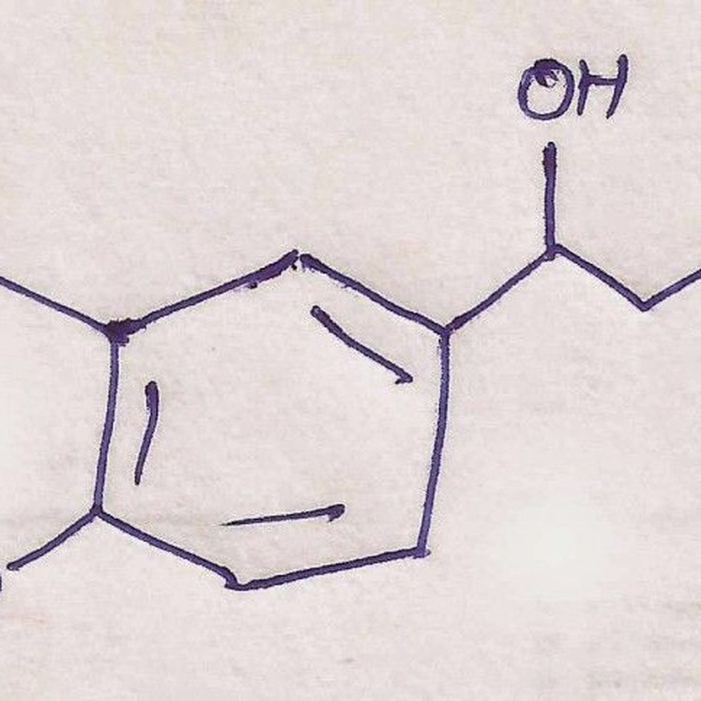 Evrim Ağacı ile Bilime Dair Her Şey!