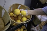 Landry warns Louisiana won’t issue SNAP benefits for November if shutdown persists • Louisiana Illuminator