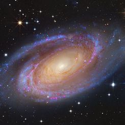  Bright Spiral Galaxy M81 