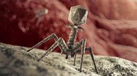 Today's biggest science news: Mining viruses | Asteroid Bennu samples | Seven-armed octopus