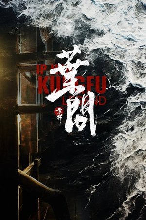 Ip Man Kung Fu Efsanesi